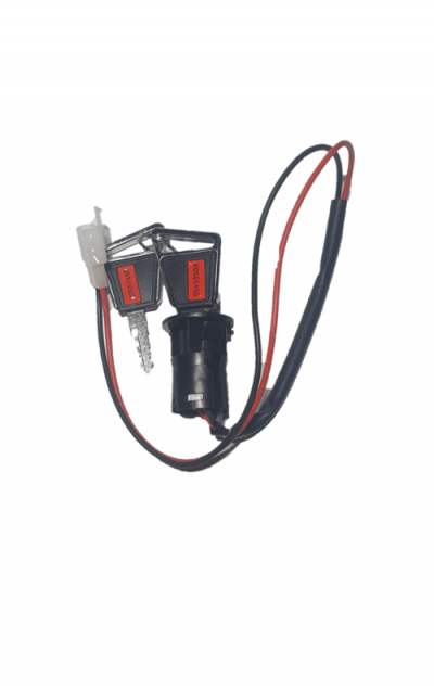 Contact 60V Scuter Electric Citycoco/Harley